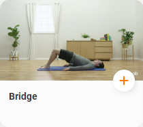 telehab_bridge.png
