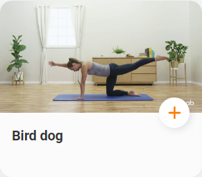 telehab_birddog_medium.png