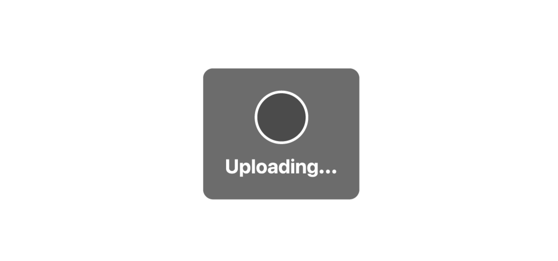 SSP Upload Successful.gif