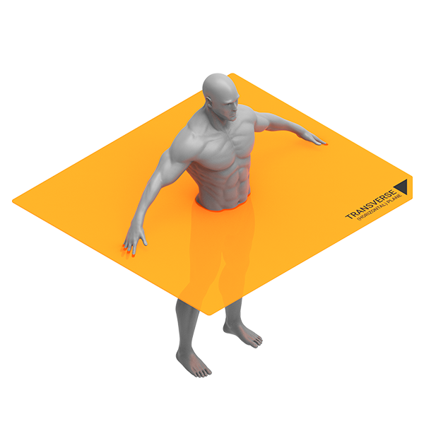 HT_Plane_1.png
