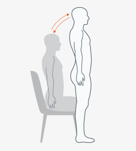 HT_Sit_to_stand_oprotocol_image.png