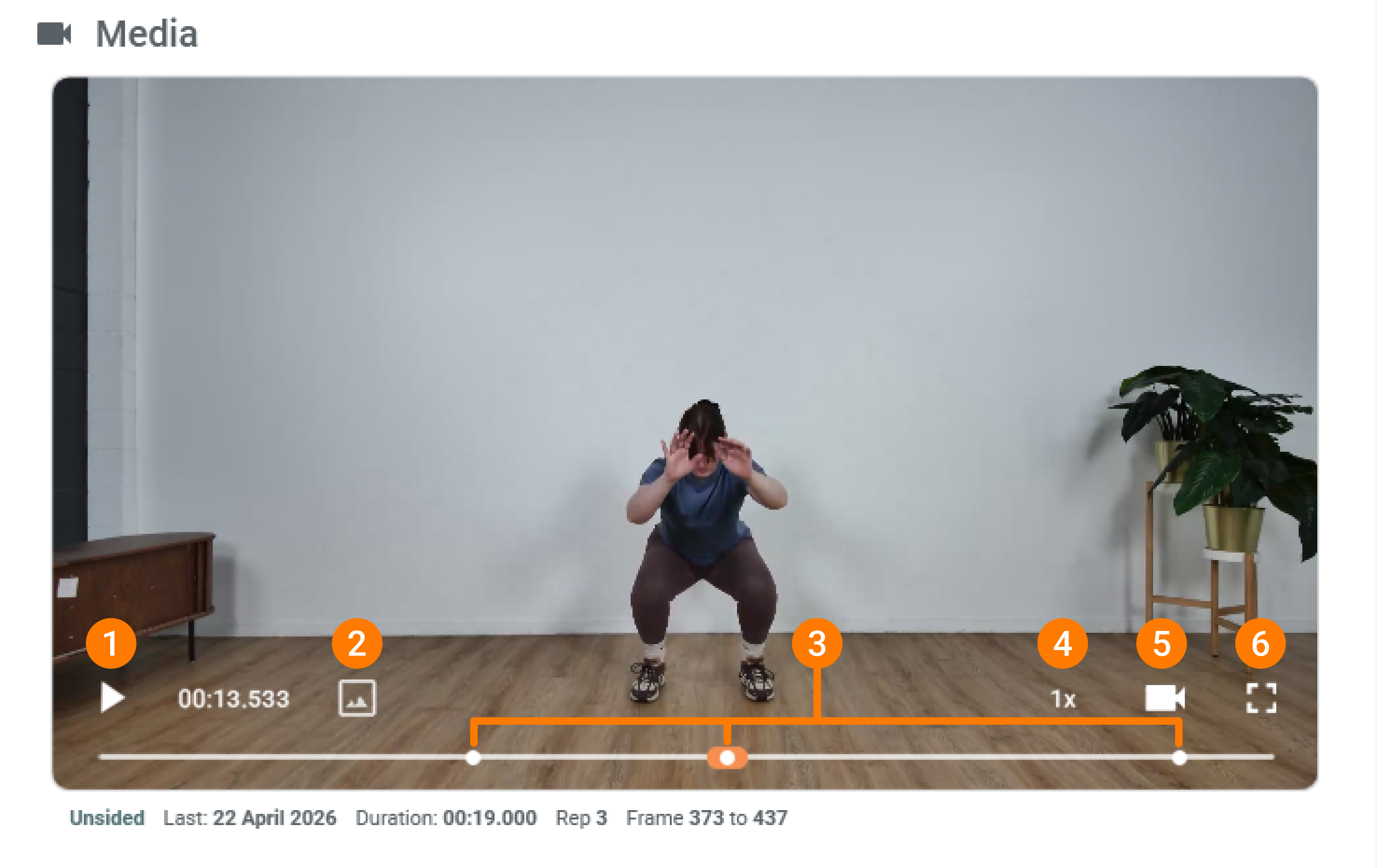 HT_Video_Controls_Diagram.png