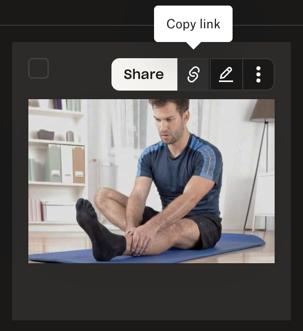 MH_Customs_Dropbox_Copy_Link.png